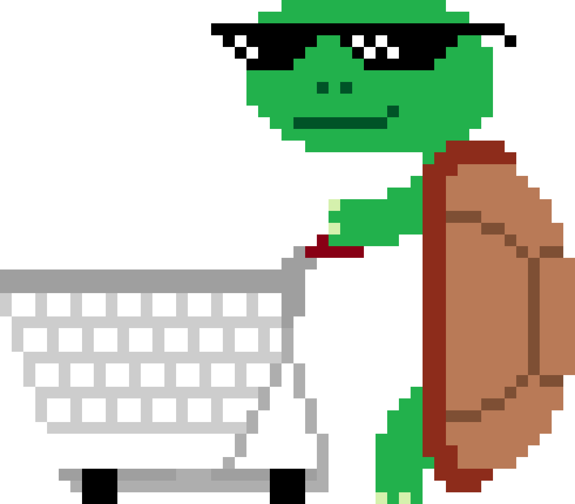 Turtle with shopping cart